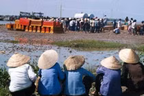 Kí ức kinh hoàng của người sống sót sau cơn bão Linda