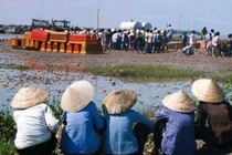 Những người phụ nữ kiên cường chờ chồng sau siêu bão Linda