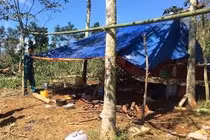 Bị hãm hiếp liên tục nhiều lần, bé 15 tuổi kiệt sức ngã quỵ giữa đường