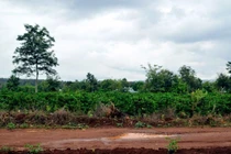 Vì sao bà mẹ 42 tuổi nhẫn tâm giết con mới đẻ?