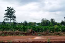 Vì sao bà mẹ 42 tuổi nhẫn tâm giết con mới đẻ?