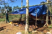 Bị hãm hiếp liên tục nhiều lần, bé 15 tuổi kiệt sức ngã quỵ giữa đường