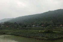 Phá rừng phòng hộ xây “siêu nghĩa trang”: Vĩnh Phúc có phớt lờ người dân?