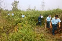 Hé lộ nguyên nhân tai nạn trực thăng UH-1 rơi