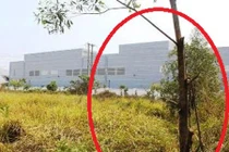 Cái chết lạ kỳ của công nhân vừa lĩnh lương, thưởng Tết