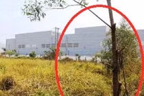 Cái chết lạ kỳ của công nhân vừa lĩnh lương, thưởng Tết