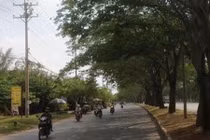 Những con đường điều hòa “cứu” dân Sài Gòn khỏi nắng nóng