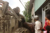 Hàng chục tấn gỗ lao xuống cầu, đè sập nhà dân