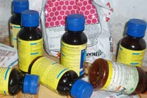 Bình Phước: Chi tiết nữ dược sĩ hạ độc gia đình hàng xóm