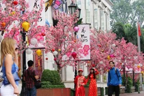 Sài Gòn ngập tràn không khí Tết