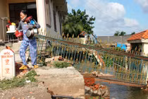 Hình ảnh tan hoang vụ sạt lở nghiêm trọng ven sông Sài Gòn