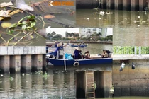 Hãi hùng tuyến du lịch TP HCM bốc mùi rác, chuột chết 