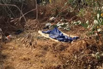 Người đàn ông chết bí ẩn trong bụi rậm ở TP HCM