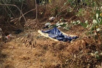 Người đàn ông chết bí ẩn trong bụi rậm ở TP HCM