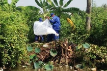 Thi thể người đàn ông bốc mùi giữa ao sen