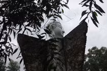 Lại gần bức tượng đầu Phật ở “dốc tử thần 47“