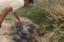 Hiện trường vụ việc.