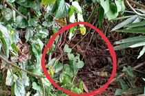 Hiện trường vụ việc. Ảnh: N.N 