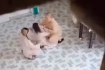 Hình ảnh vụ việc cắt từ clip.