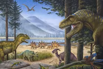 Tuyên bố sốc: Sự xuất hiện của con người giống như thảm họa tuyệt chủng!