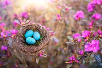  Tài lộc như mưa, 3 con giáp kiếm tiền trong tháng 8