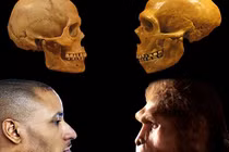 Cực nóng: Bộ não của con người tự thu nhỏ lại 3.000 năm trước