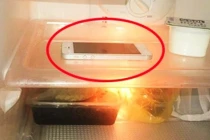 Đãng trí bỏ quên điện thoại trong tủ lạnh nào ngờ lợi ích tuyệt vời