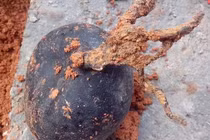 Lên núi đào thuốc, ông lão may mắn thu hoạch được "vàng đen"