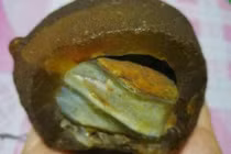 Tìm thấy “cục thịt” phát sáng, vỡ oà nhận ra là báu vật trời ban