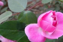 Nhà nào có con sinh vào 3 giờ này hưng vượng, trăm năm may mắn