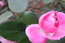 Nhà nào có con sinh vào 3 giờ này hưng vượng, trăm năm may mắn