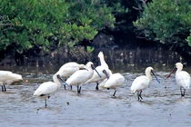 Vườn quốc gia nhỏ nhất Việt Nam và địa điểm nổi tiếng Nam Định 