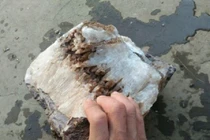 Dồn tiền mang đá lạ đi thẩm định, kết quả khiến lão nông tái mặt