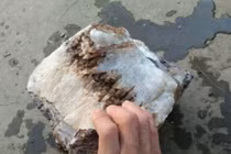 Dồn tiền mang đá lạ đi thẩm định, kết quả khiến lão nông tái mặt