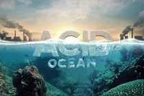 Cực sốc: Trái đất có thể bị nhấn chìm trong 6m nước vì điều này? 