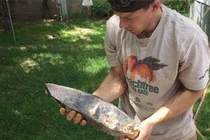 Nhặt đá ở bãi đất hoang, choáng váng khi biết giá trị thật 