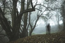 Vì sao nhiều người 'nhìn thấy ma'?