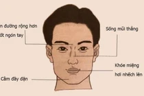 Đàn ông có 5 nét tướng này rất phúc hậu, ai lấy được sướng cả đời 