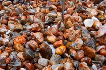 Nhặt sỏi về trang trí, chuyên gia hét lên: "Là kho báu!" 