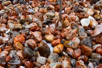 Nhặt sỏi về trang trí, chuyên gia hét lên: "Là kho báu!" 