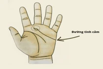 Phụ nữ sở hữu tướng tay này sẽ có tình yêu mĩ mãn