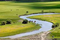 Ai sinh tháng Âm lịch này trước cay đắng sau ngọt bùi, cực thăng tiến