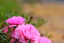 Bí mật sau số tài sản lớn của vợ tương lai