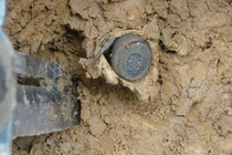 Tưởng đồng xu cổ, chàng trai giật mình thấy nó động đậy 