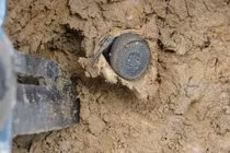 Tưởng đồng xu cổ, chàng trai giật mình thấy nó động đậy 