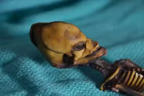 Lời giải chấn động “xác ướp người ngoài hành tinh” bí ẩn nhất TG 