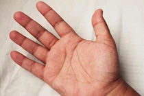 Nhìn bàn tay biết ngay người đó có số làm quan hay không