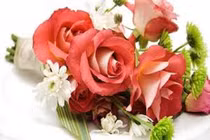 Những lời chúc 20/10 qua tin nhắn khiến phụ nữ... vừa tức vừa cười