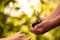 Thái độ sống lật ngược tình thế hiểm nghèo thay đổi vận mệnh