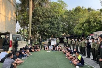 Bắt sới gà cực lớn núp sâu trong trang trại ở Vĩnh Phúc